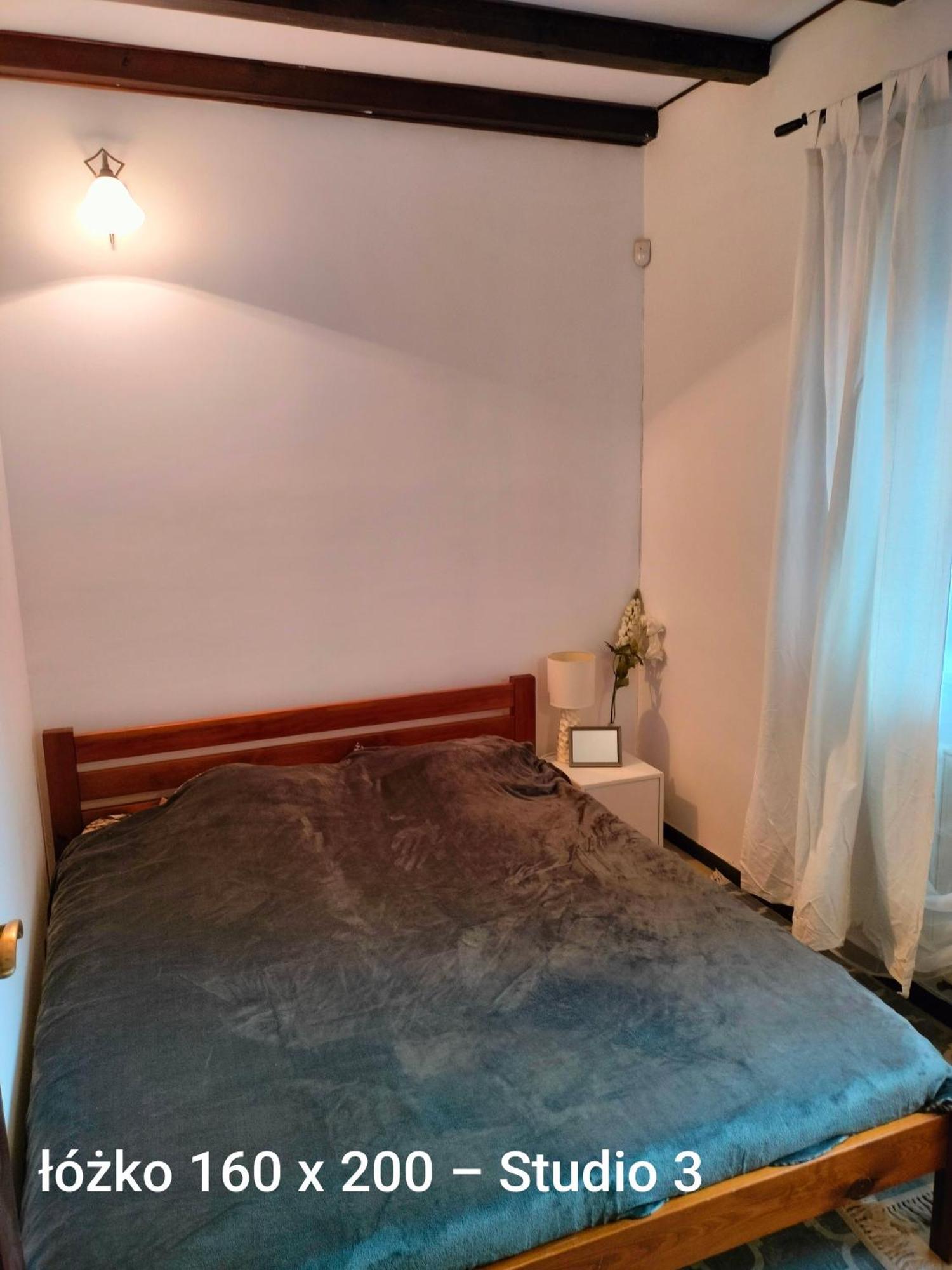 Urocze Studia W Lomiankach, 1- Z Sauna I Tarasem, 2- Z Kominkiem, 3- Ekonomiczne, 7Km Metro Mlociny Warszawa Łomianki エクステリア 写真