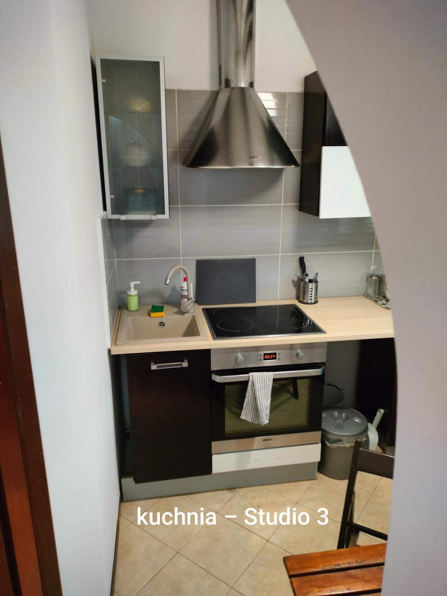 Urocze Studia W Lomiankach, 1- Z Sauna I Tarasem, 2- Z Kominkiem, 3- Ekonomiczne, 7Km Metro Mlociny Warszawa Łomianki エクステリア 写真
