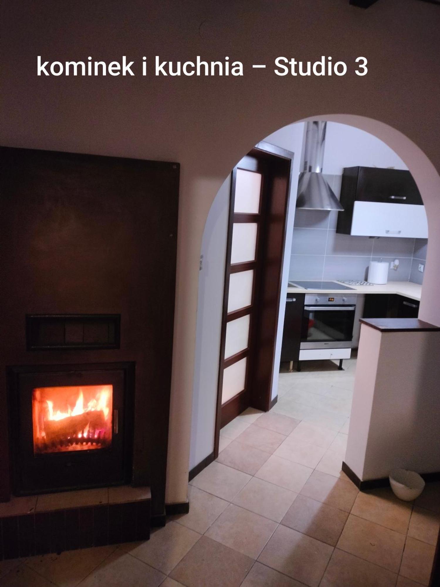 Urocze Studia W Lomiankach, 1- Z Sauna I Tarasem, 2- Z Kominkiem, 3- Ekonomiczne, 7Km Metro Mlociny Warszawa Łomianki エクステリア 写真